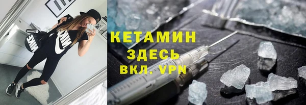 индика Инта
