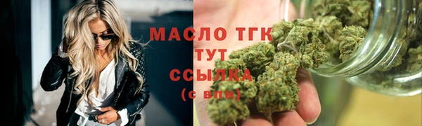 индика Инта