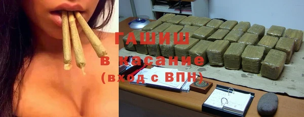 индика Инта