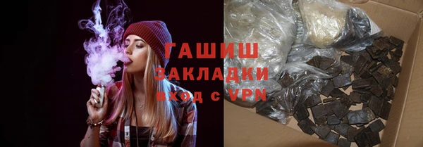 индика Инта