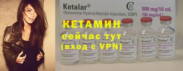 индика Инта