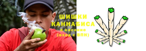 индика Инта