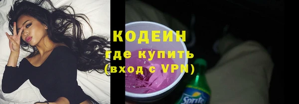 индика Инта