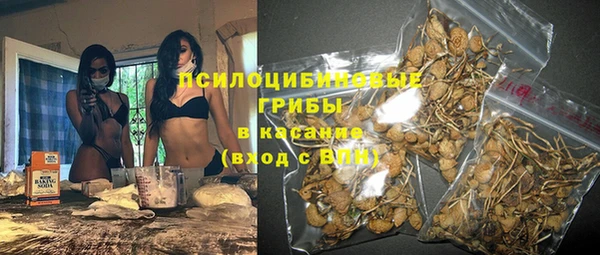 индика Инта