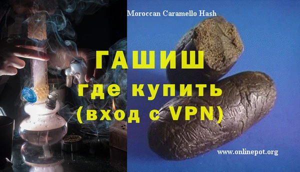 индика Инта