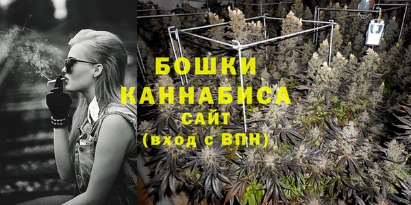 индика Инта