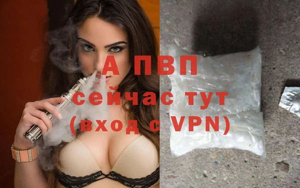 индика Инта