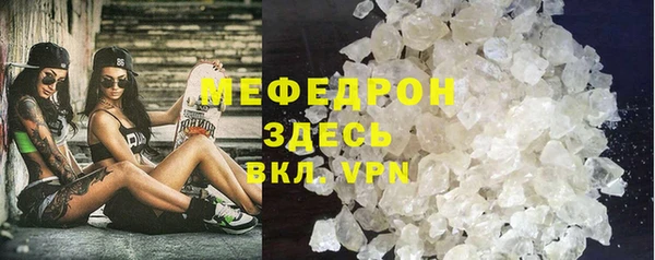 индика Инта