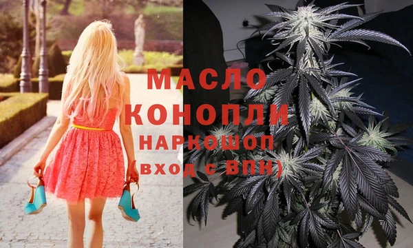 индика Инта