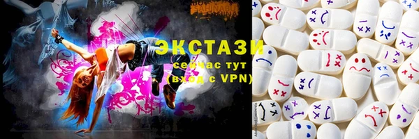 индика Инта