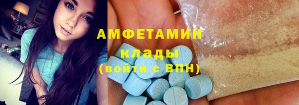 индика Инта