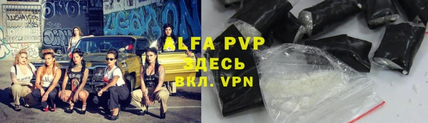 индика Инта