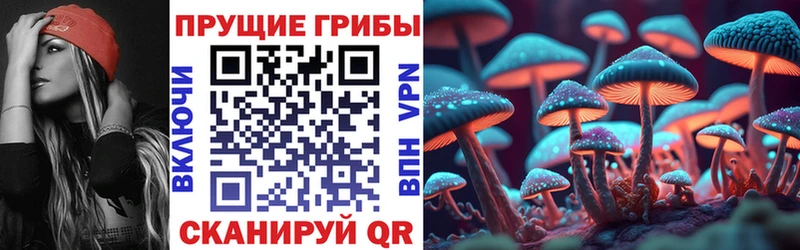 Псилоцибиновые грибы ЛСД  где продают наркотики  Камень-на-Оби 