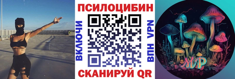 Псилоцибиновые грибы Psilocybine cubensis Камень-на-Оби