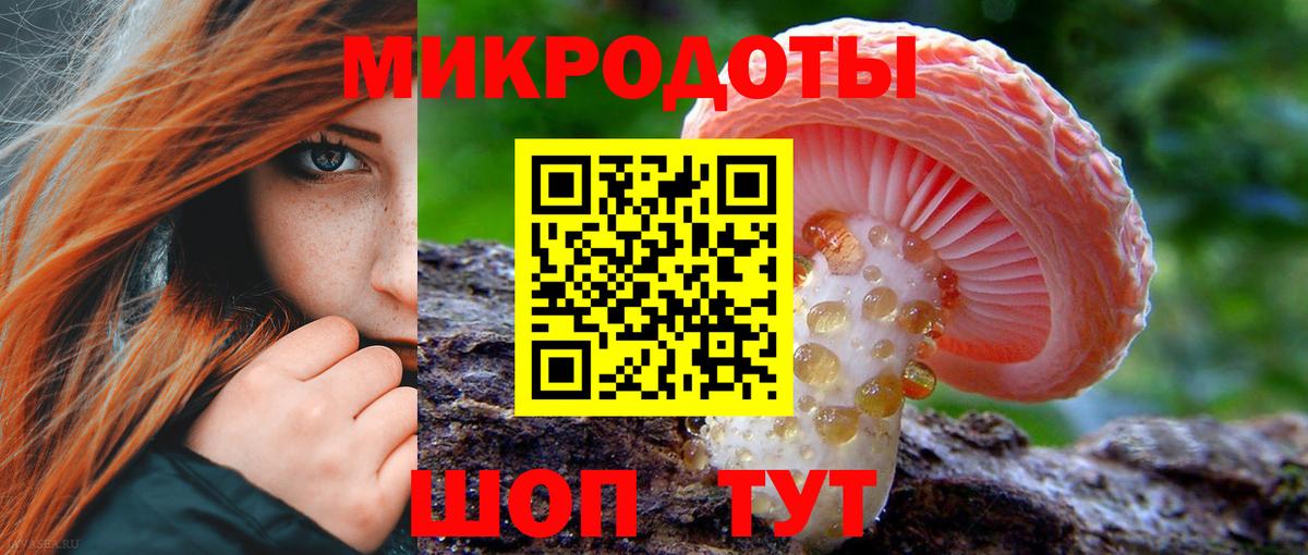Псилоцибиновые грибы мухоморы  где можно купить   Камень-на-Оби  Псилоцибиновые грибы мицелий  Вход с VPN 